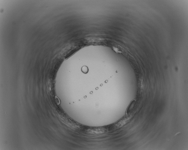 X0000070380567200606231715