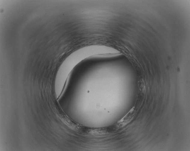 X0000070380568200606231715