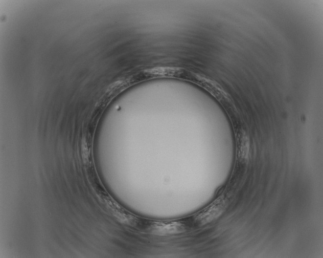 X0000070380569200606231715