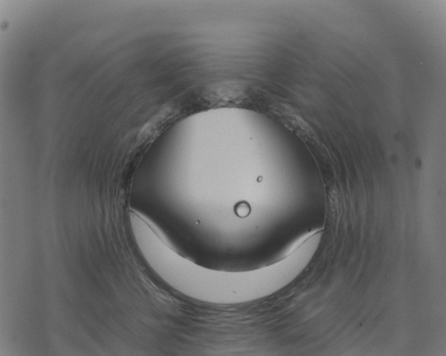 X0000070380570200606231715