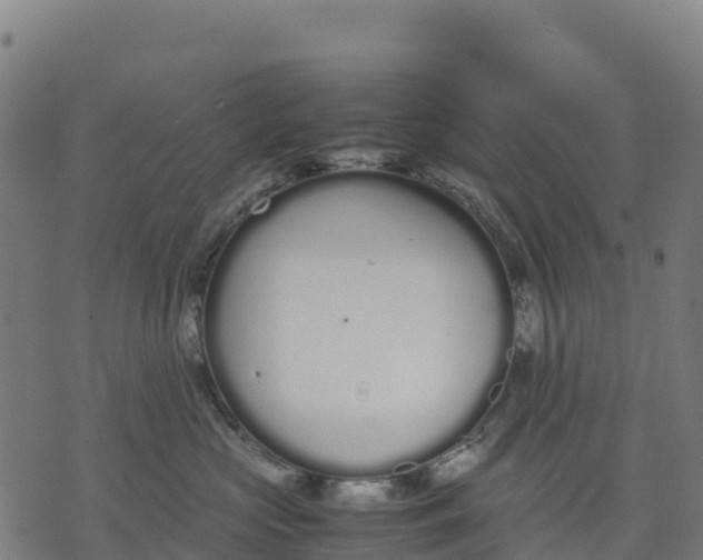 X0000070380573200606231715