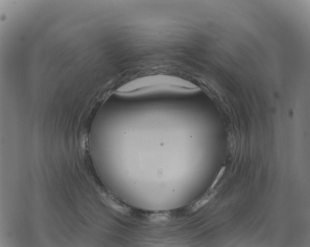 X0000070380574200606231715