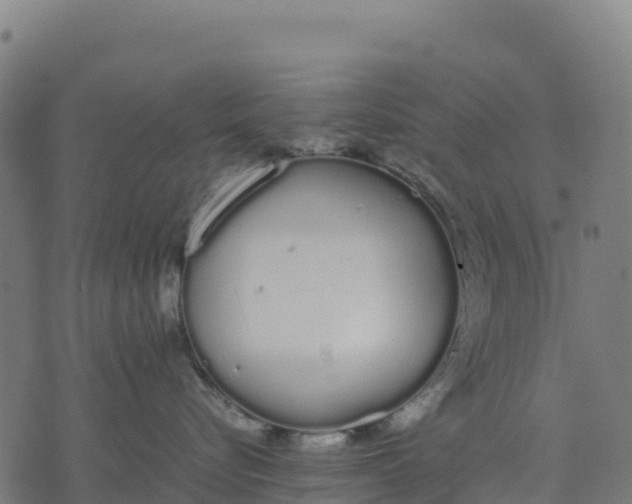 X0000070380576200606231715