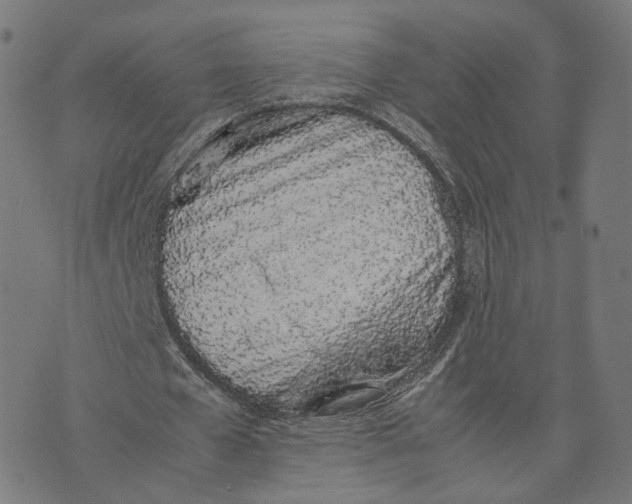 X0000070380577200606231714