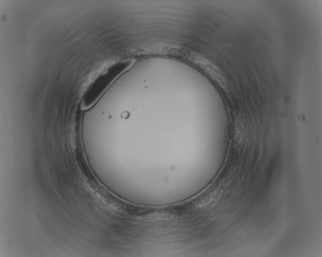 X0000070380578200606231714