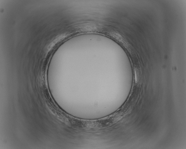 X0000070380579200606231714