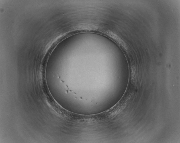 X0000070380580200606231714