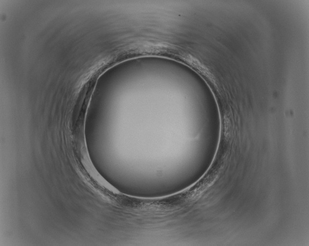 X0000070380581200606231714