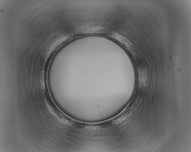 X0000070380582200606231714