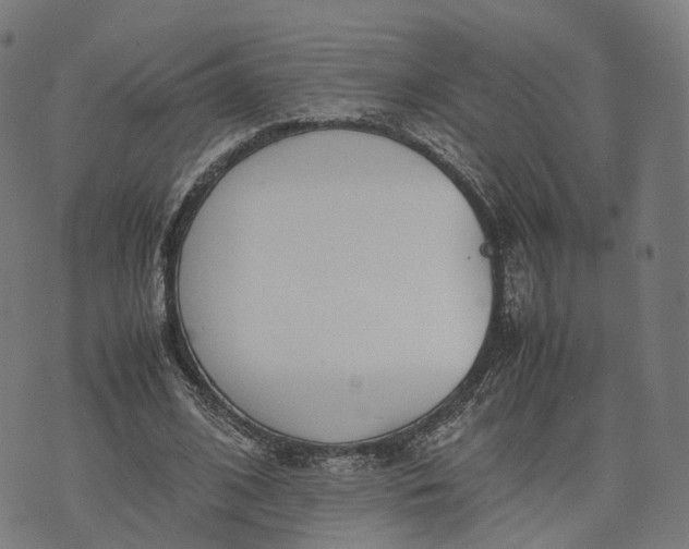 X0000070380584200606231714