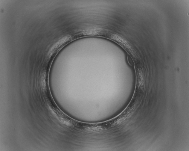 X0000070380586200606231714