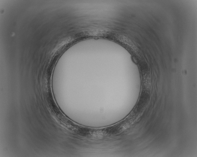 X0000070380587200606231714