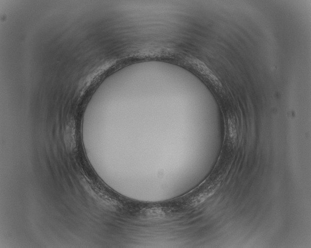 X0000070380588200606231714