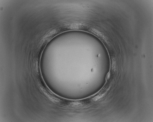 X0000070380589200606231714