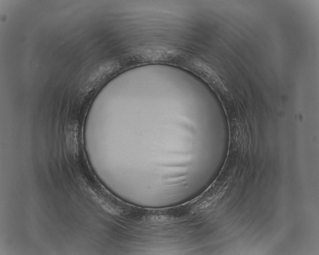 X0000070380590200606231714