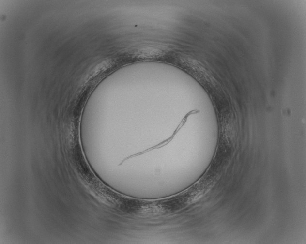 X0000070380591200606231714