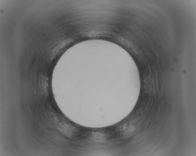 X0000070380592200606231714