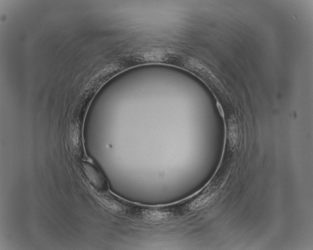 X0000070380593200606231714