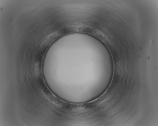 X0000070380594200606231714