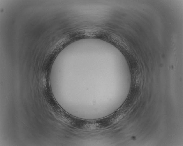 X0000070380595200606231714