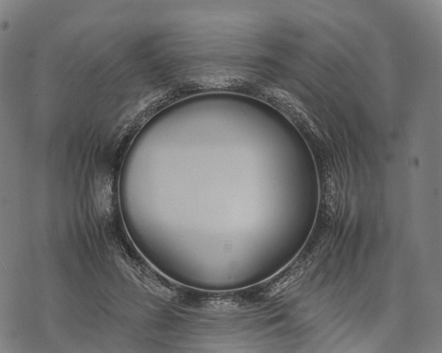 X0000070380596200606231714