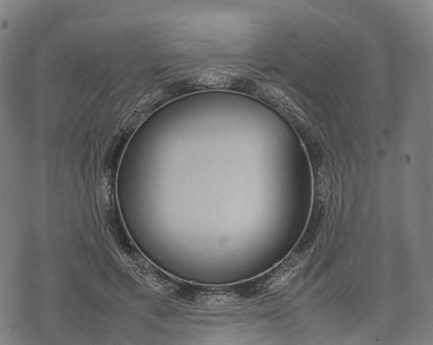 X0000070380597200606231714