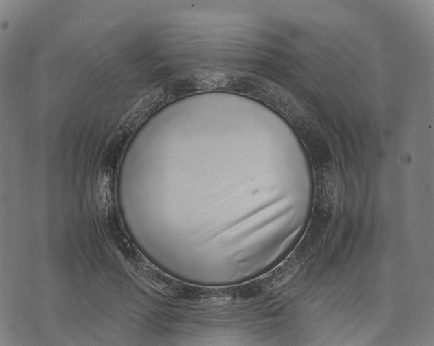 X0000070380598200606231714