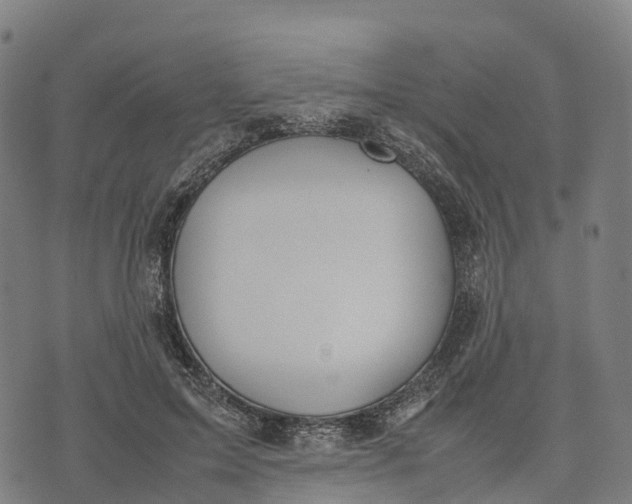 X0000070380599200606231714