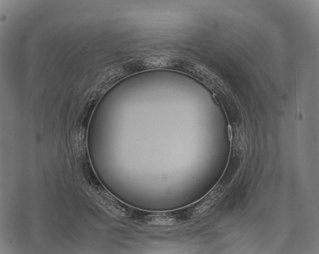 X0000070380601200606231714