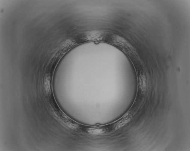 X0000070380602200606231714