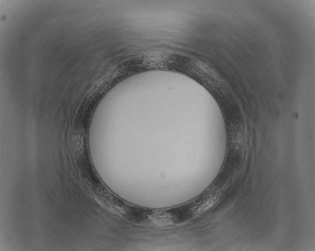 X0000070380603200606231714