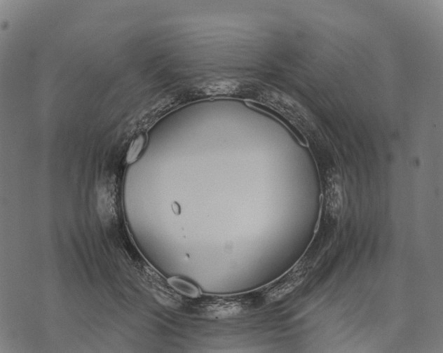 X0000070380604200606231714