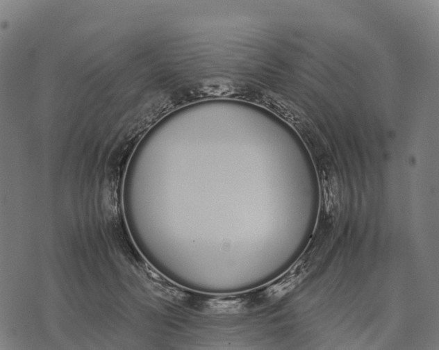 X0000070380606200606231714