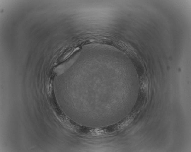 X0000070380607200606231714