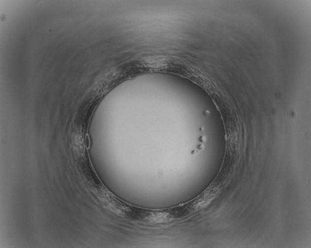 X0000070380609200606231714