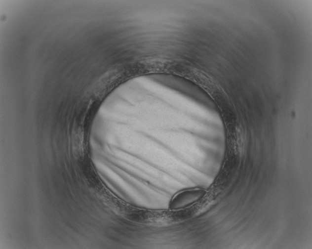 X0000070380610200606231714