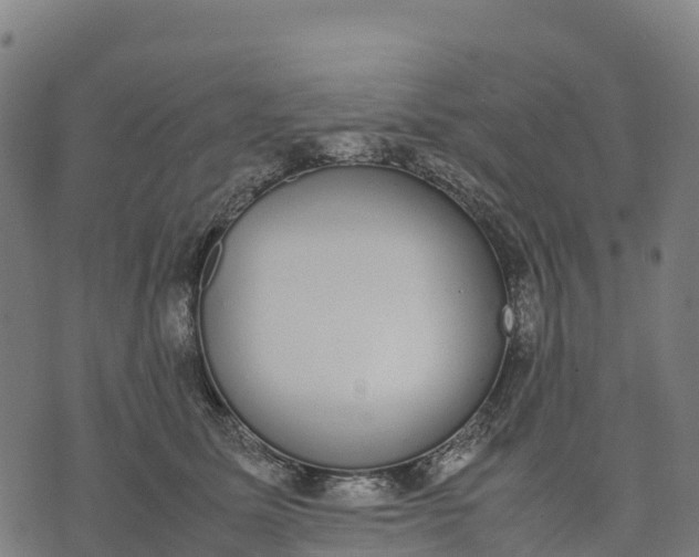 X0000070380611200606231714