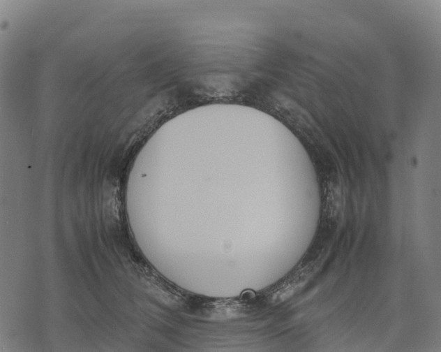 X0000070380612200606231714