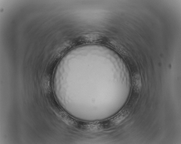 X0000070380615200606231714