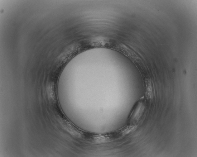 X0000070380616200606231714