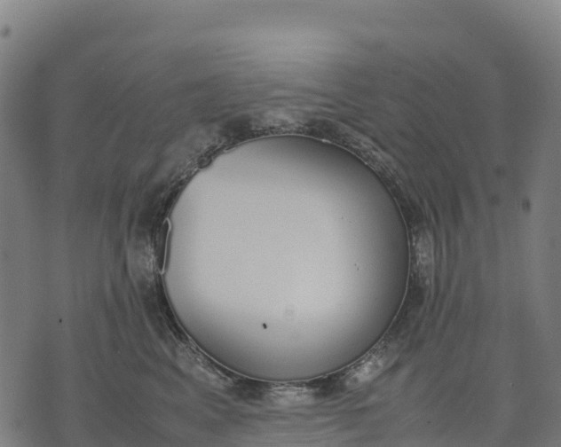 X0000070380617200606231714