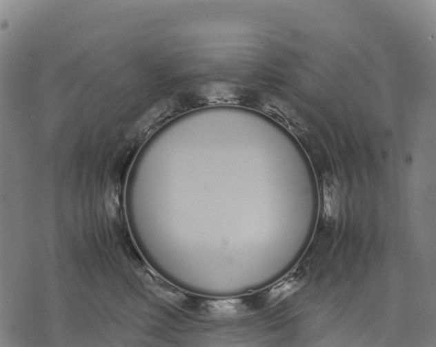 X0000070380618200606231714