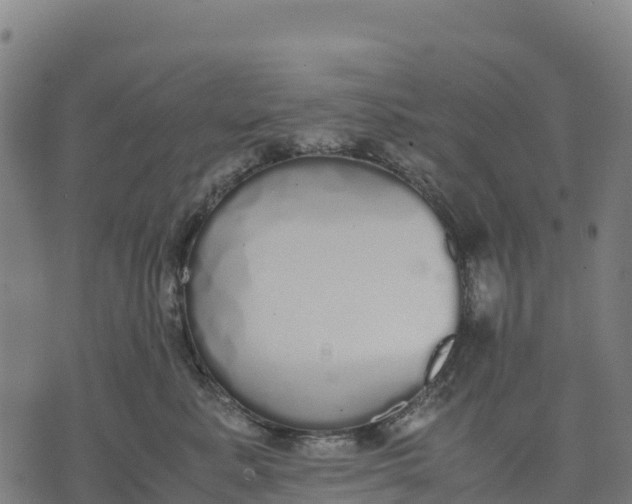 X0000070380619200606231714