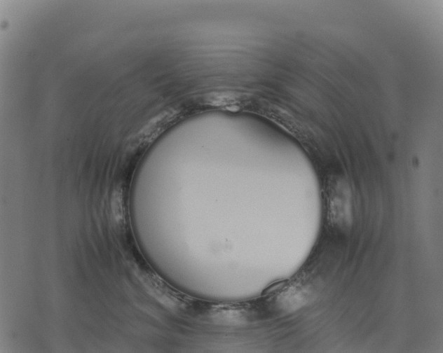 X0000070380620200606231714