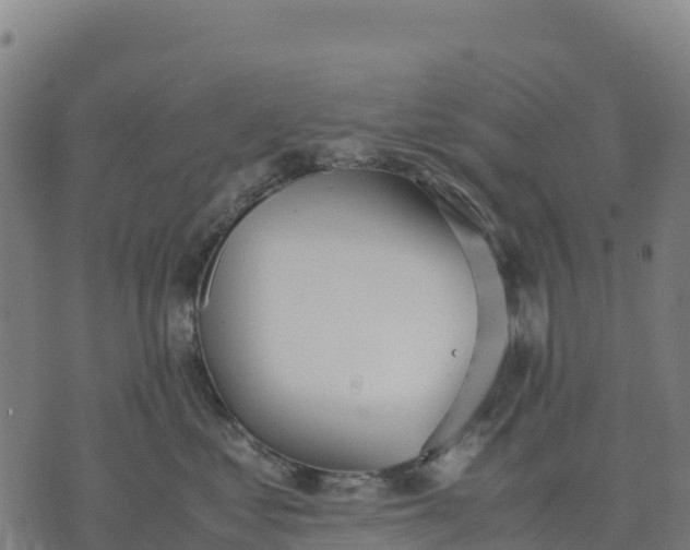 X0000070380621200606231714