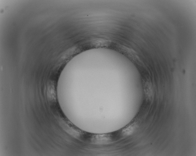 X0000070380622200606231714