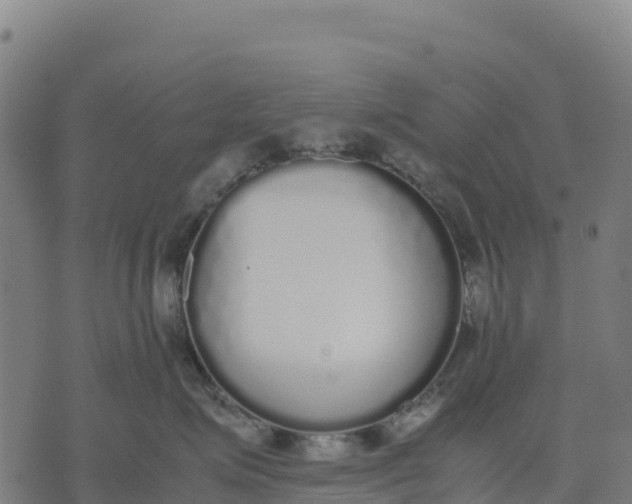 X0000070380623200606231714