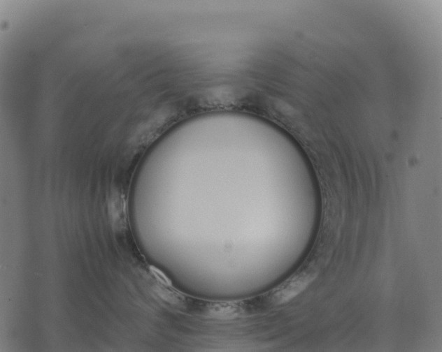 X0000070380624200606231714