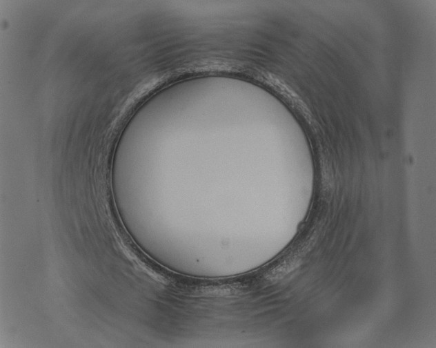 X0000070380625200606231713