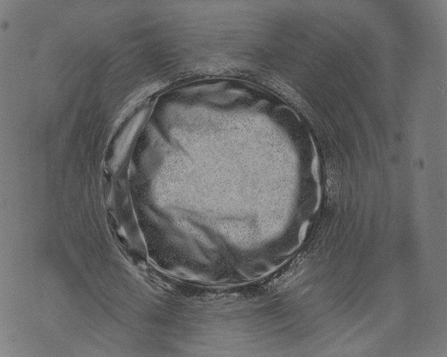 X0000070380626200606231713